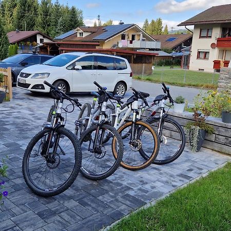 Ski-Bike-Apartment Bayerwald Лоберг Экстерьер фото