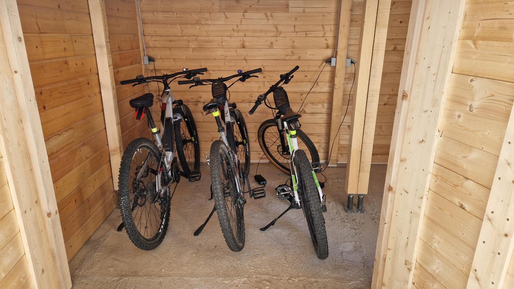 Ski-Bike-Apartment Bayerwald Лоберг Экстерьер фото